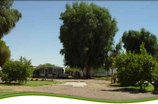 M&M RV Village 