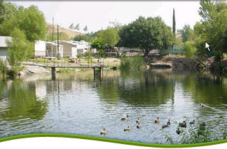 Meadowbrook Seniors RV Park