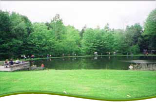 Popehaven Campground