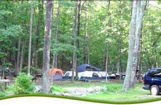 Silver Valley Campsites