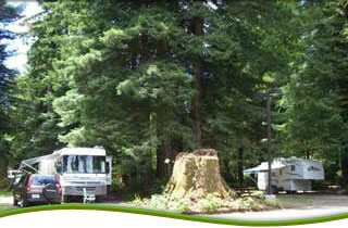 The Redwoods RV Resort