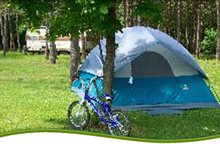  	Yellow Rose Campground