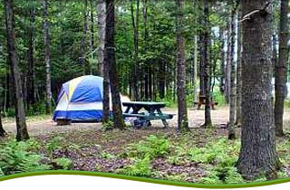 Stage Stop Campground 